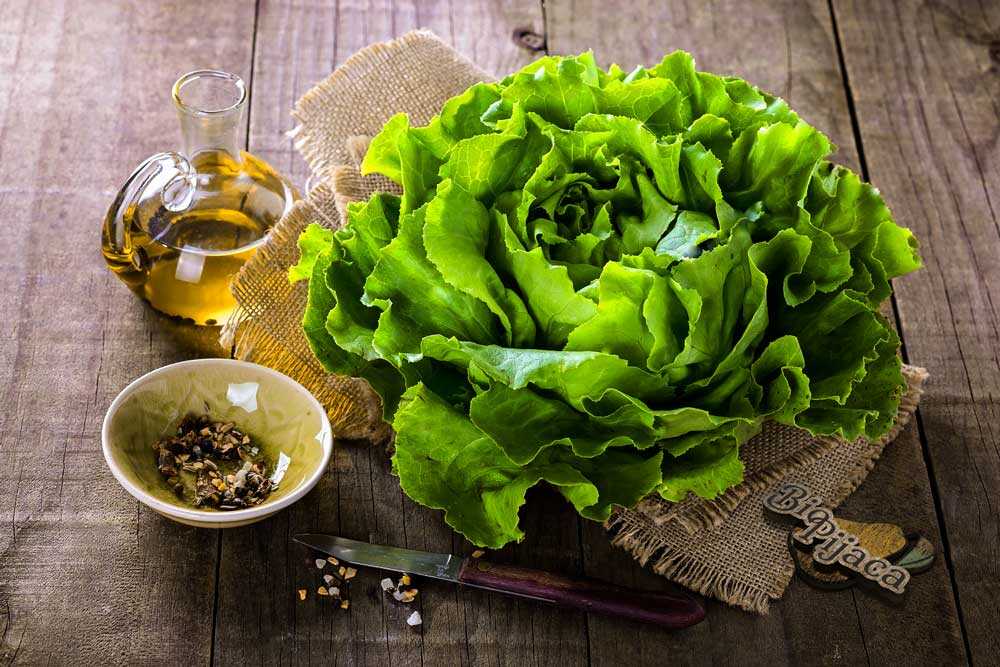 Salata BioPijaca