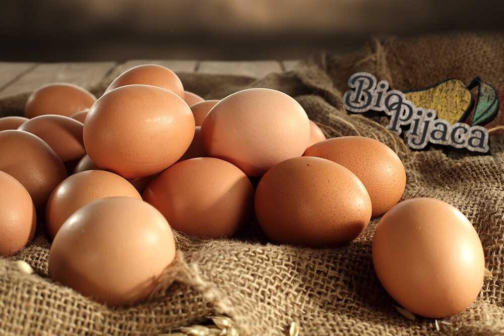 jaja biopijaca zdrava ishrana